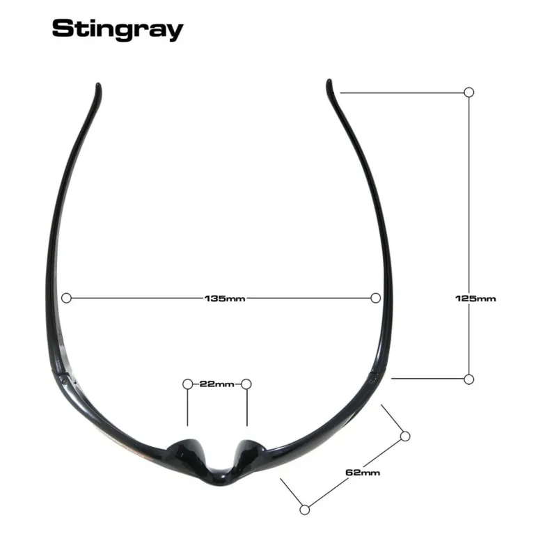 BLOC Stingray Sunglasses - Shiny Black-Polarised Grey