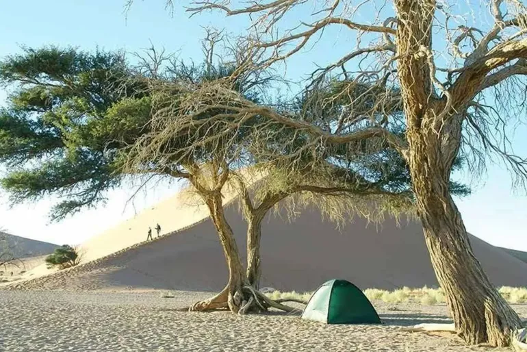 Hilleberg Unna Tent - Sand