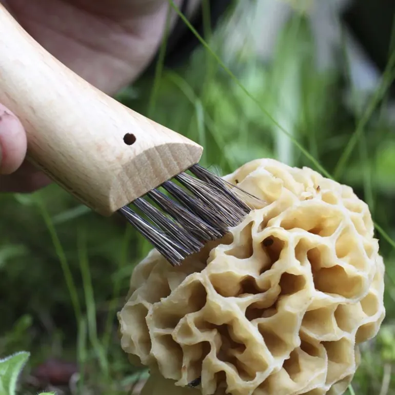 Opinel No.8 Mushroom Knife