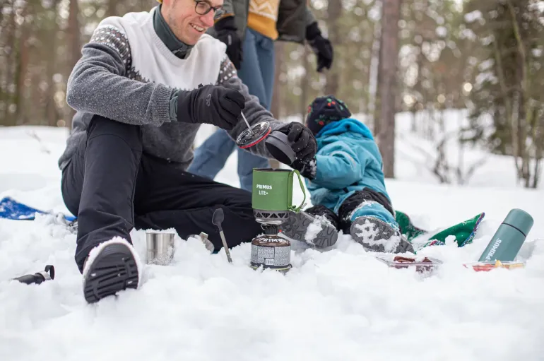 Primus Lite Plus Stove System - Fern