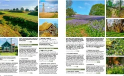 Wild Guide South West England 2